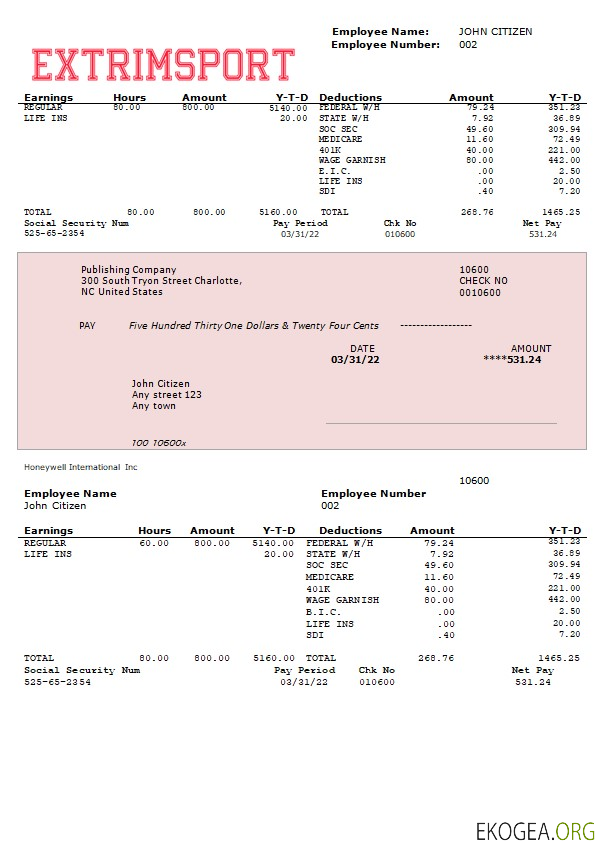 extrim sport company relevé de résultats entièrement modifiable aux formats Word et PDF
